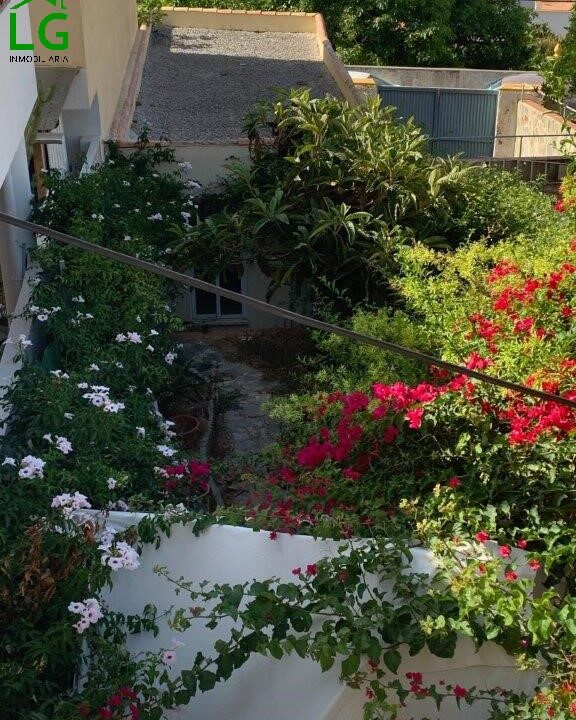 WhatsApp Image 2025-06-27 at 11.53.55 (1)
